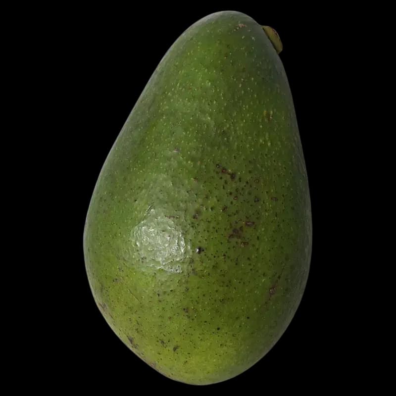 Avocado Loose - 20000006035 (#1)