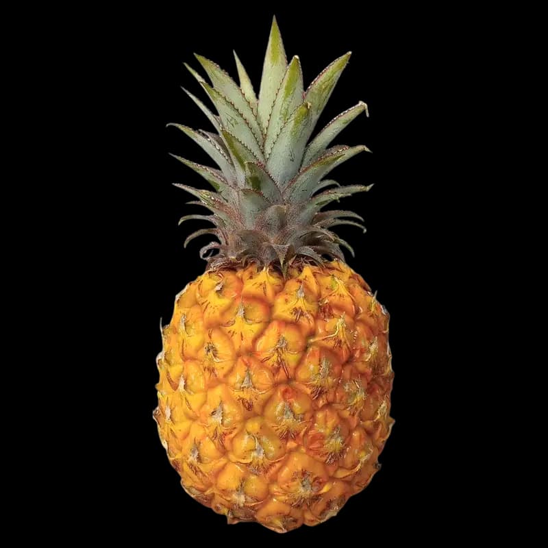 Pineapple Each - 20000006365 (#1)